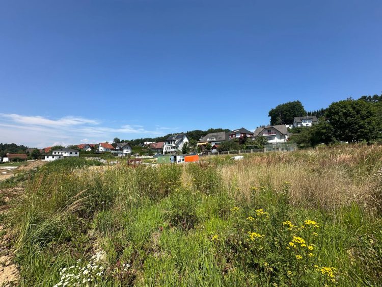 Ansicht 2