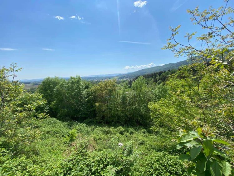 15e33f1f-4e8c-42c6-9872-b254b3588ecb